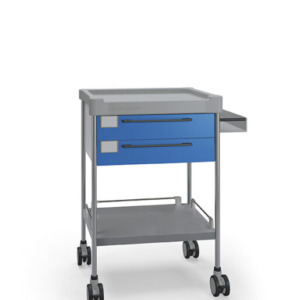 Insausti ravimi- ja hoolduskärud