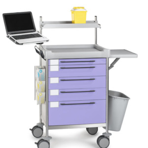 Insausti ravimi- ja hoolduskärud