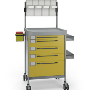 Insausti ravimi- ja hoolduskärud