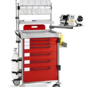 Insausti ravimi- ja hoolduskärud