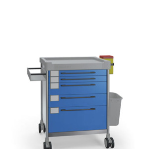 Insausti ravimi- ja hoolduskärud