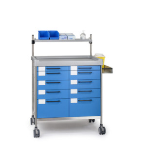 Insausti ravimi- ja hoolduskärud