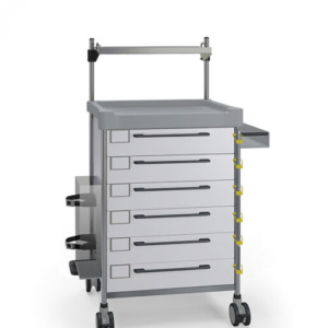 Insausti ravimi- ja hoolduskärud