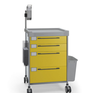 Insausti ravimi- ja hoolduskärud