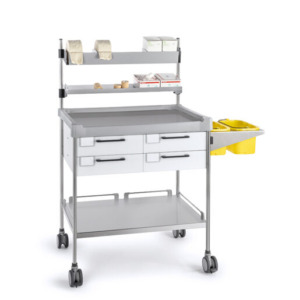 Insausti ravimi- ja hoolduskärud